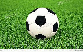 Image result for Soccer Ball On Grass