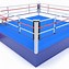 Image result for Mini Boxing Ring