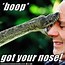 Image result for Reptile Memes What I Do