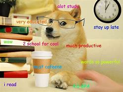 Image result for Funny Memes About Studying