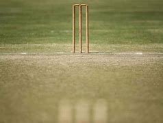 Image result for How to Cut a Cricket Field