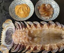 Image result for Ramen with Crustaceean Isopod