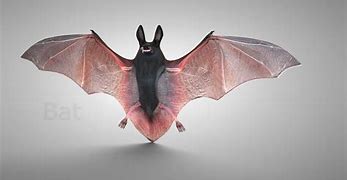 Image result for 3D Look Bat to Print