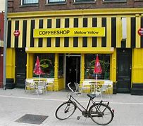 Image result for Netherlands Coffee