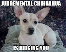 Image result for Judging Dog Meme Mug