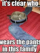 Image result for Party Pants Meme