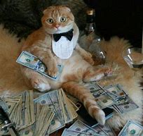 Image result for Cat with Wallet No Money Meme