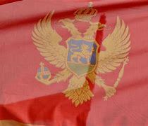 Image result for Flag of Montenegro