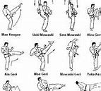 Image result for List of Karate Kicks