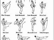 Image result for Types of Karate Kicks Aocc