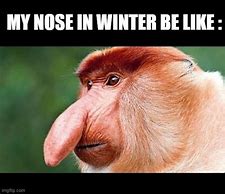 Image result for Big Nose Monkey Meme