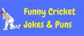 Image result for Funny Cricket Writing