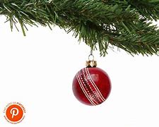 Image result for Back Yard Christmas Cricket