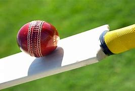 Image result for Cricket Bat