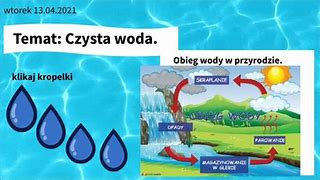 Image result for co_to_znaczy_zakwit_wody