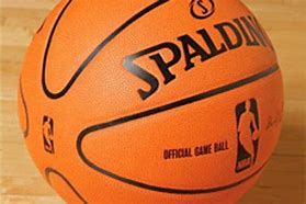 Image result for The Official Basketball of the NBA