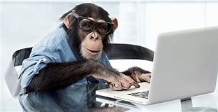 Image result for Monkey On Computer Meme
