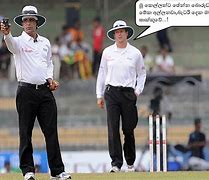 Image result for Funny Cricket Christmas Images