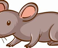 Image result for Mouse Cartoon Illustration