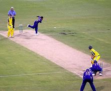 Image result for Cricket Ball On Pitch