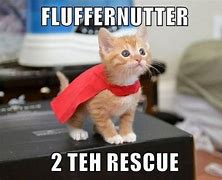 Image result for Rescue All the Animals Meme