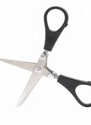 Image result for Little Scissors