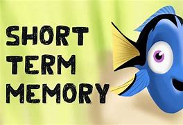 Image result for Short Term Memory Test
