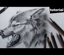 Image result for How to Draw a Realistic Wolf Head