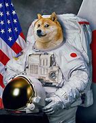 Image result for Doge Meme Twinkie