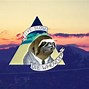 Image result for Sloth Funny for My Desktop Wallpaper