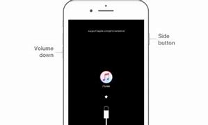 Image result for How to Fix a Disabled iPhone