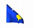 Image result for Kosovo Zastava