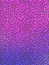 Image result for Cheetah Print Pattern