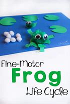 Image result for Frog Life Cycle Craft