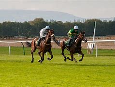 Image result for Race Track Horse Racing
