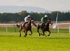 Image result for Horse Racing Games Free