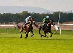 Image result for By 1890 321 Horse Racing