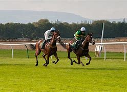 Image result for Kaitlin Free Horse Racing