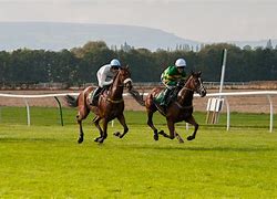 Image result for Australian Horse Racing