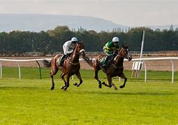 Image result for Ripped Racing Horse