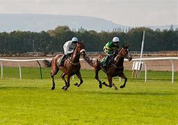 Image result for African Horse Racing
