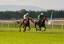 Image result for Melbourne Horse Racing