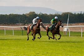 Image result for Racing Horse Calendar