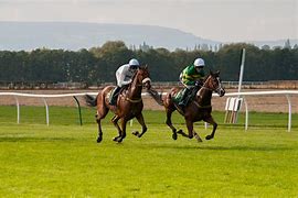 Image result for Horse Racing Decorations