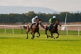 Image result for Horse Racing Canvas Art