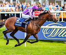 Image result for Horse Racing Images UK