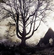 Image result for Beautiful Dark Gothic Landscape
