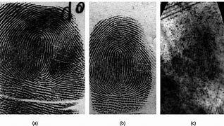 Image result for Visible Fingerprints