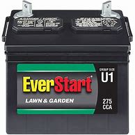 Image result for EverStart Lawn Mower Battery