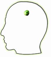 Image result for Pea Size Brain